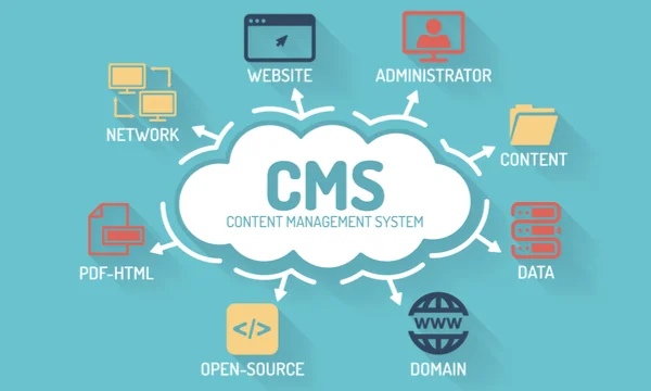 CMS Development Services