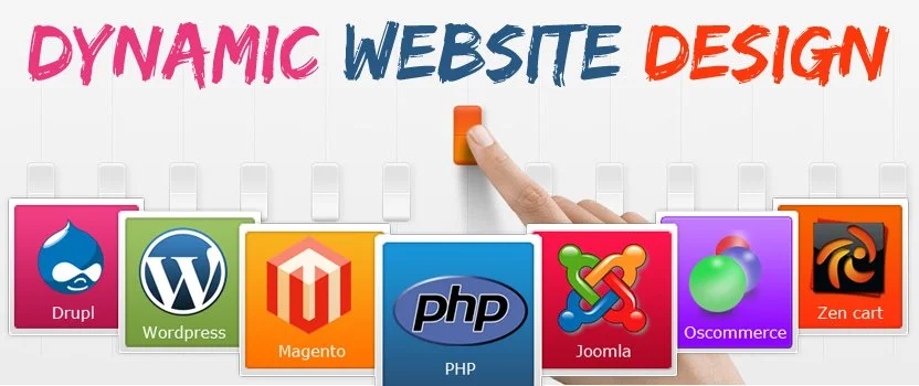 Dynamic Website Development